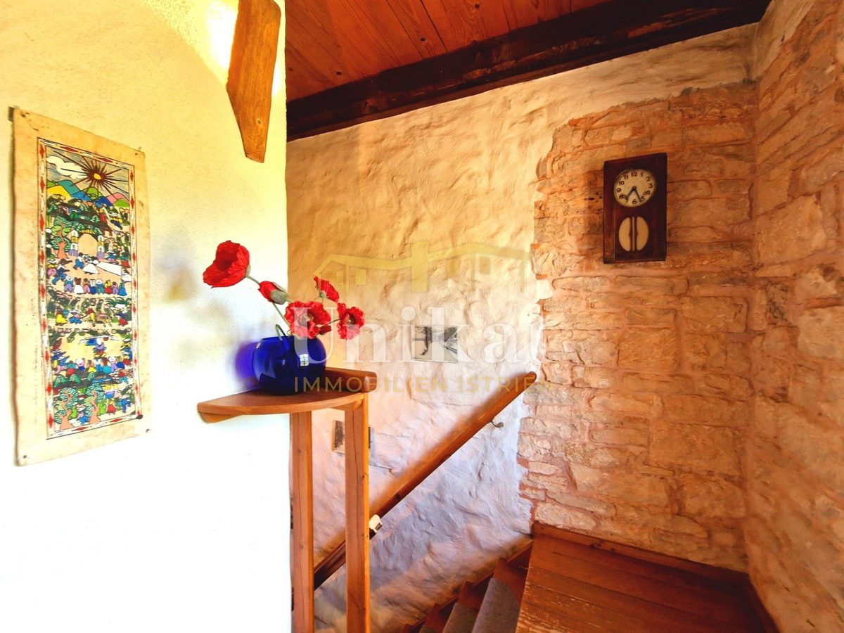 Avtentično posestvo s kamnito hišo in velikim zemljiščem